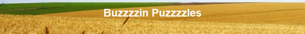 Buzzzzin Puzzzzles