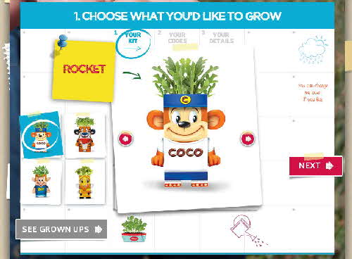 2015 Kelloggs Seed Heads web pages (3)