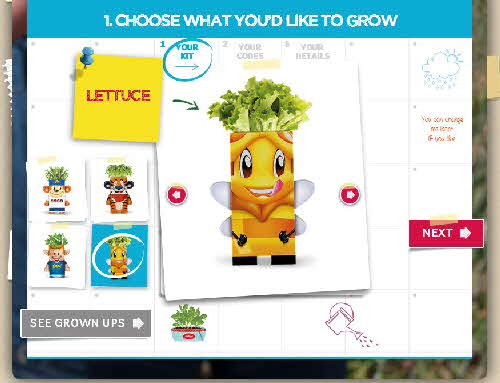 2015 Kelloggs Seed Heads web pages (6)