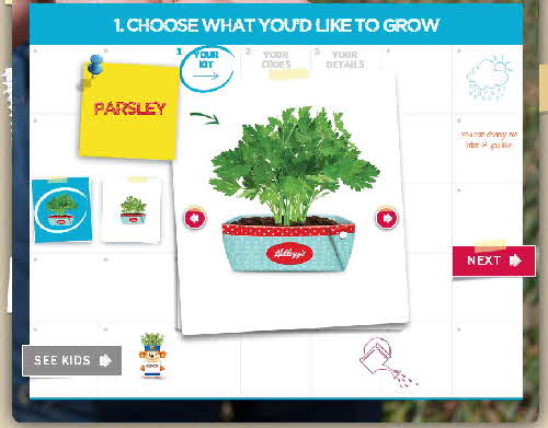 2015 Kelloggs Seed Heads web pages (7)