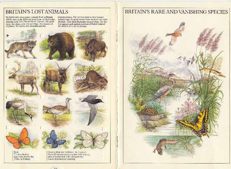 1983 Cornflakes Britains rare & vanishing species book