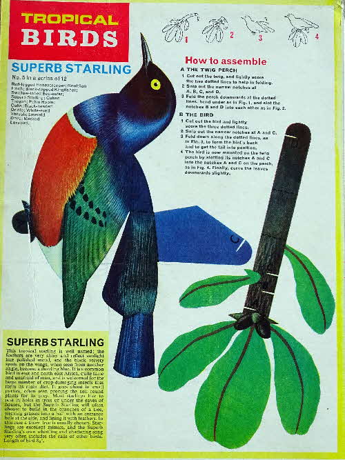 1966 Frosties 3D Model Tropical Birds Superb Starling