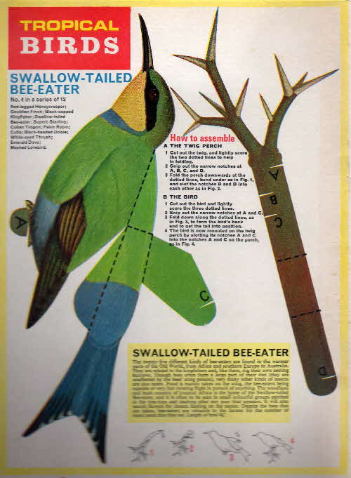 1966 Frosties Tropical Birds Swallow-tailed Bee Eater