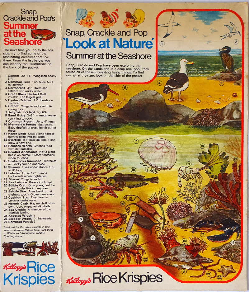 1970s Rice Krispies Look at Nature Activity - summer