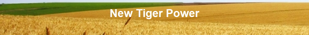 New Tiger Power