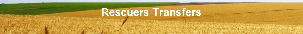 Rescuers Transfers
