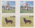 1960 Weetabix Working Dogs 3D Cards 1 front1