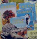 1993 Weetabix Wild World of Animals Books1 small