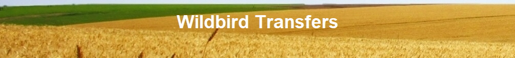 Wildbird Transfers